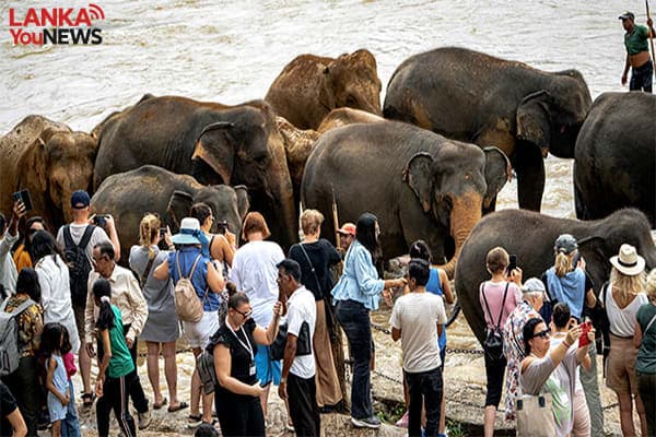 මේ මාසයේ මුල් සතියට සංචාරකයින් 33,910 ක් 